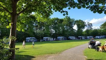 camping tamaring achterhoek07